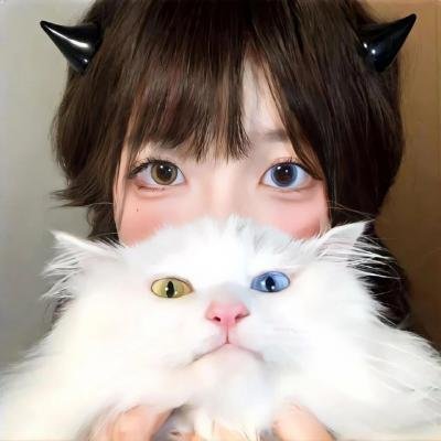 星灵感应真人版